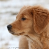 klein_img_9164