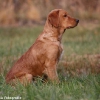 comp_img_9359_1