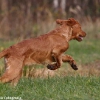 comp_img_9373_1