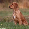 comp_img_9399_1