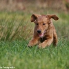 comp_img_9412_1