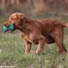 comp_img_9424_1
