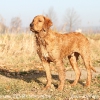 klein_img_2105