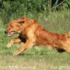 klein_img_6872
