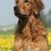 klein_img_9686_laqueland2