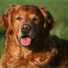 jo_img_9953