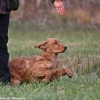 comp_img_9514_1