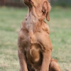 klein_img_9043