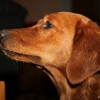 klein_img_7270