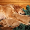 klein_img_7483