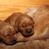klein_img_7509