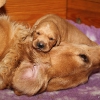 klein_img_7558