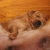 klein_img_7632