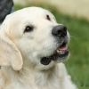 comp_img_5191