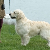 comp_img_5206