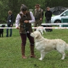 comp_img_5259