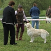 comp_img_5295
