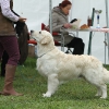 comp_img_5341