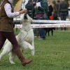 comp_img_5397