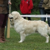 comp_img_5465