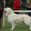 comp_img_5476