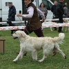 comp_img_5489