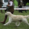 comp_img_5494