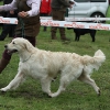 comp_img_5496