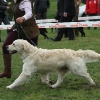 comp_img_5498