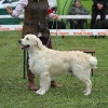 comp_img_5623