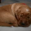 klein_img_8349