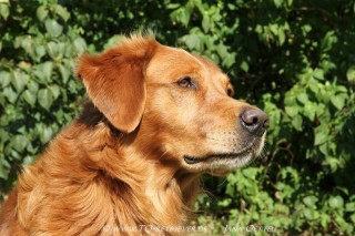 comp_img_9899