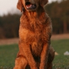klein_img_2220