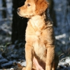 klein_img_2480