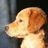 klein_img_2491