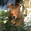 klein_img_2822