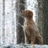 klein_img_2911