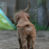 klein_img_3295