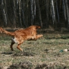 klein_img_3438