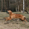 klein_img_3447