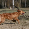 klein_img_3610