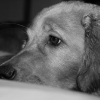 klein_img_5363