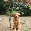 klein_img_6112