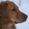 jo_img_0844