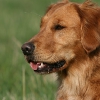 jo_img_9054_0