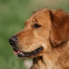 jo_img_9057_0