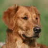 jo_img_9060_0