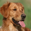 jo_img_9062_0