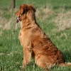jo_img_9132_0
