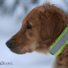 jo_img_9711